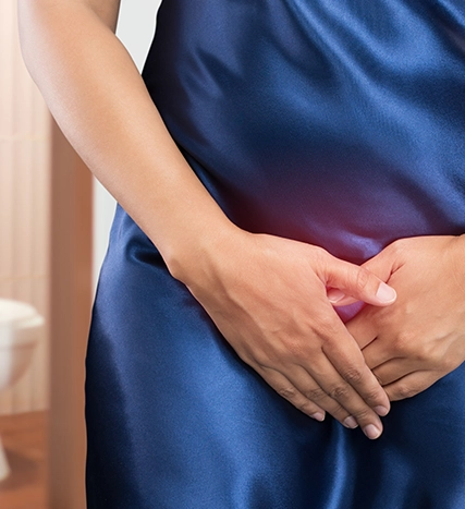 Pelvik Taban Rehabilitasyonu